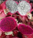 dragon fruit