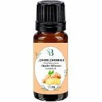 Ginger essential oil (Zingiber Officinale Root) 10 ml.
