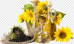 Quality Edible Sunflower Oil