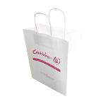 Kraft paper bag with twisted handle, economic range