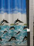 Bathroom Curtain