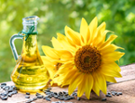 Sunflower Oil