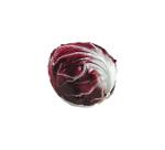 Radicchio