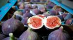 Fresh Figs