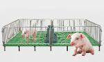 piglet livestock weaner crate/pen