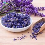 Lavender essential oil