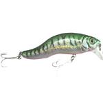 Hard Plastic Lure