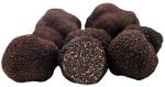 Black truffle (Tuber melanosporum)