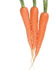 Carrots