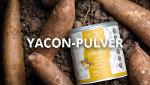 YACON – the ancient remedy of the Incas