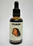 Chaga Mushroom