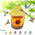 Sunflower Hanging Bird House