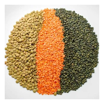 Canadian Red and Green Lentils