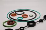 Gaskets And Seals