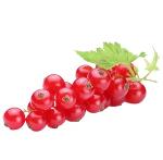 Currants