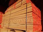 Unedged Beech lumber