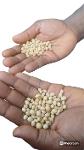 Soybeans-Wholesale