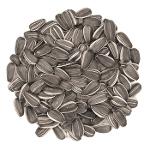 sunflower seeds