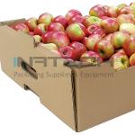 Vegetable and Fruit Cardboard Boxes