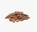 Cocoa Beans