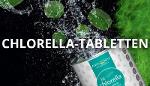 Chlorella algae – the green filter of the seas
