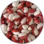 Red Calypso Beans