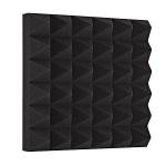 Acoustic Foam