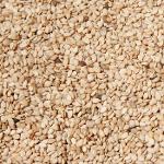 Natural Sesame Seeds Burkina Faso