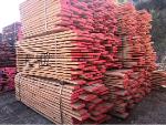 European Beech Sawn Lumber