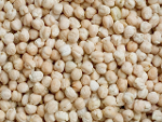 Organic chickpeas