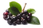 Organic Aronia Juice Concentrate