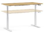 Regula Height Adjustable Table