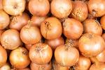 Onion (Small Size)