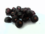 Freeze Dried Black Currant