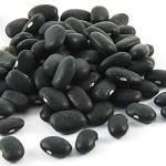 Black Kidney Beans for Sale