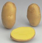 Potatoes - Yellow skin