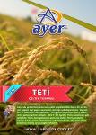 TETİ RİCE SEEDS