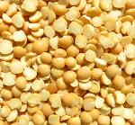 yellow pea