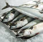 Mackerel Whole