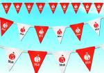 STRING PENNANT FLAGS