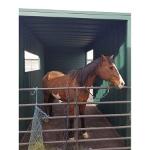 Horse box container