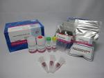 Alkaline Phosphatase Labeling Kit-SH