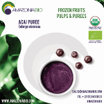 Organic Açaí Puree 