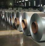 Galvanized Steel Coils