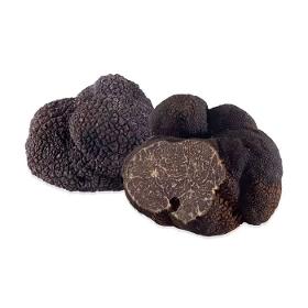 Black truffle (Tuber melanosporum)