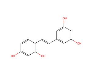 Oxyresveratrol