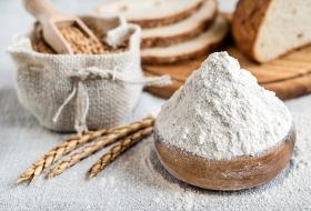 Wheat bread flour BL65