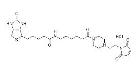 Biotin-PEAC5-Maleimide