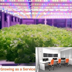 GaaS Wageningen - Growing as a Service