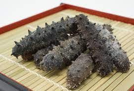 Dries Sea Cucumber